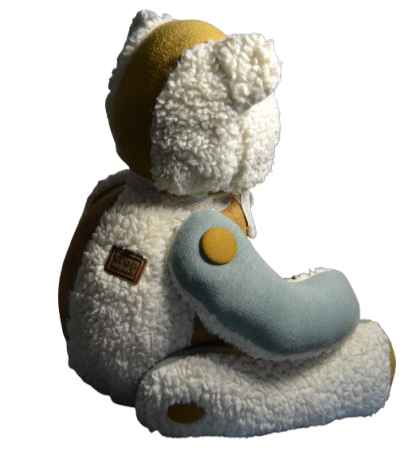 L'Ours Souvenir Raphaël
