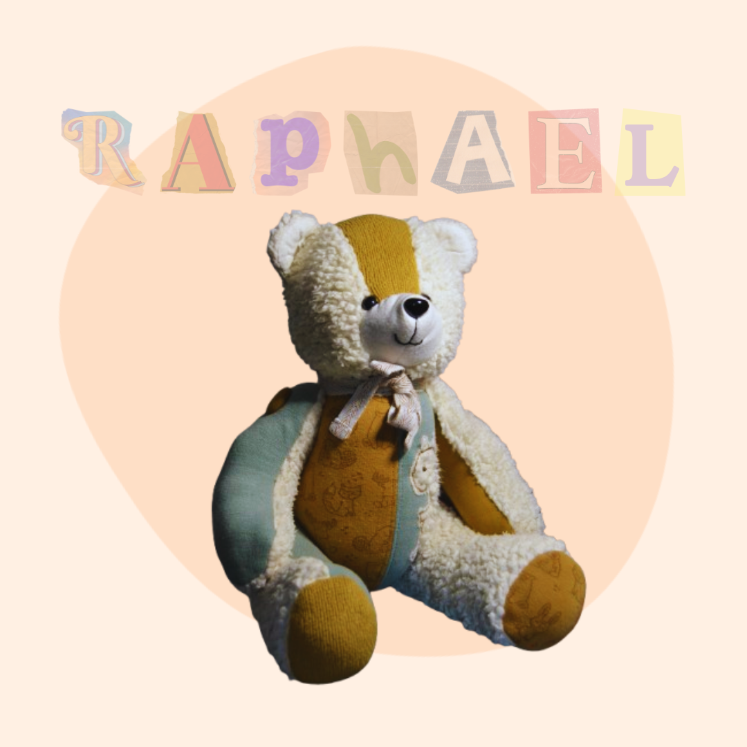 L'Ours Souvenir Raphaël